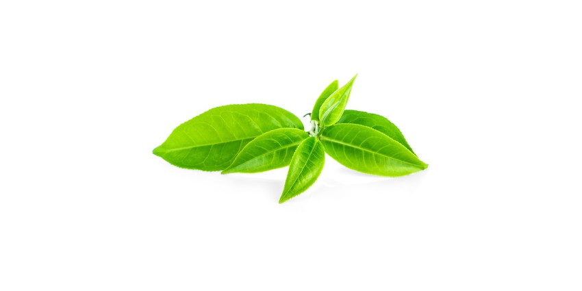 Skuteczne sposoby na odświeżanie powietrza